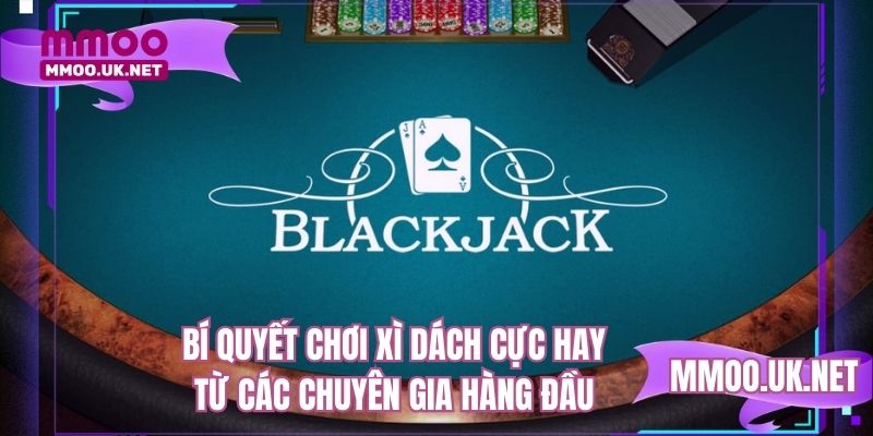 Bí quyết chơi xì dách cực hay từ các chuyên gia hàng đầu